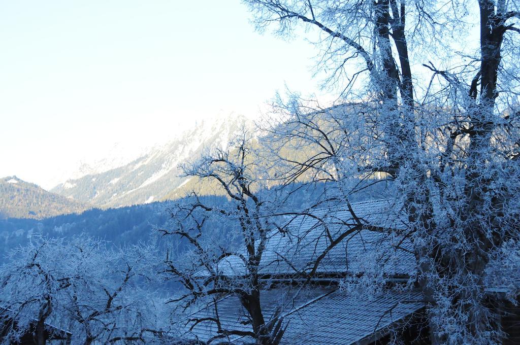 Haus Herz Pokoj fotografie